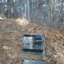 근흥초등학교 이미지