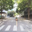 새재마을대동아파트, 새재마을청구아파트 이미지