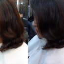 후타고 헤어(학익점)