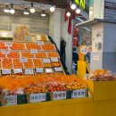 화산중앙로R | [제주도 여행 ep.4] 동백수목원, 서귀포올레시장, 흑돼지 맛집 클리어🫡