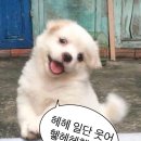 정관달 이미지