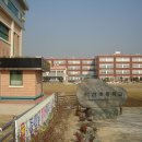직선과 곡선 사이 - 동네 한 바퀴 이미지