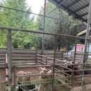 햇살아래캠핑장 | [충주캠핑장 추천] 충주햇살아래캠핑장 다녀온 후기 ☀️(내돈내산)