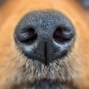 나래동물병원 이미지