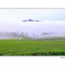 덕진목장 이미지