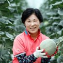 이기순농장 이미지