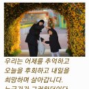 인고고 이미지