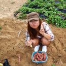 금호농장 이미지