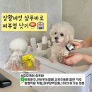 빵순돌이네 이미지