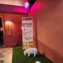 소양탐정 이미지
