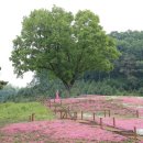 악양생태공원 이미지