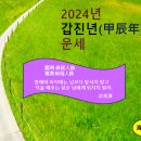 2024년 갑진년(甲辰年) 운세 이미지