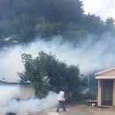 나원3리 이미지