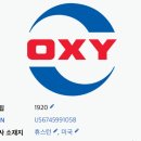 미국주식 옥시덴털 페트롤리움(OXY) 투자 후기 및 석유산업에 대한 개인적인 생각 정리
