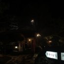 라이스&파스타 이미지