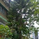 컴포터블(Comfortable) 이미지