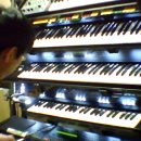 일편단심 민들레 이미지