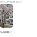 따숩 이미지
