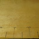 황금숙녀복 이미지