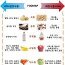 엘사이언스 | [건강] 과민성 대장 증후군, 왜 여성에게 훨씬 더 흔할까