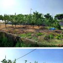 자유로농장 이미지