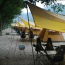 알프스애견 이미지