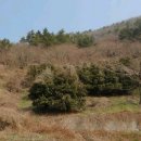 국도공인중개사사무소 이미지