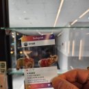 도봉로-6 | 수유역 미용실 애정원장님 두피클리닉 후기 레이어드컷,댄디컷까지 완벽