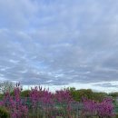 파인빌 파3골프장 이미지