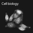 주식회사 토모 이미지