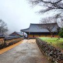 NR-25[새마을로]-상-875 | 화엄사 홍매화 비오는날 전남 구례 가볼만한 곳