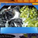 혜진네포도원 이미지