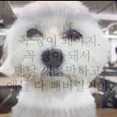 이공족발 - 마포구 어울마당로 70 | 이공족발