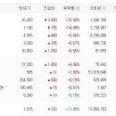 대동약품 Daum카페