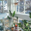 사기막길21 이미지