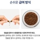 라이펙스 | [내돈내산] 고양이 췌장염 관리 필수템, 라이펙스(Lypex) 효과와 급여 방법