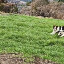 목동농장 이미지