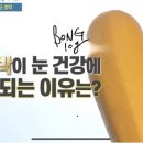 황금호박