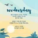 7월 22일(수) 어제 대학로에서 '나의 장례식' 관람하고 나서 후기 이미지