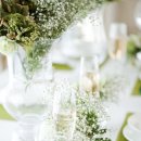 연세우리피부과의원 이미지