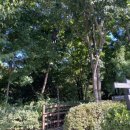 홍릉근린공원 화장실 이미지