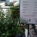 하늘아래뜰 이미지
