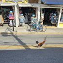 KEY WEST 이미지