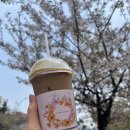 하안도서관 | 광명 하안도서관 카페 추천 : 미소카페 (광명 어르신 바리스타 카페 탐방기)