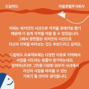 주식회사 드림위드 이미지