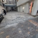 호텔24블럭 | 압구정 타일블럭 사고석 파손구간 부분 교체