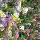 돌산동산정원 네이버블로그