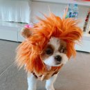 올라펜션 이미지