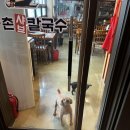 [양재]뜨끈하고 칼칼해서 계속 생각나는 등촌샤브칼국수 후기📍