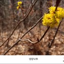 광덕3리 이미지